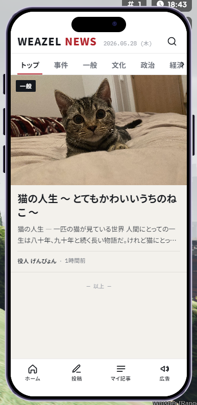 alt text